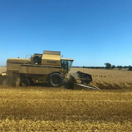 Mohnblume * Hinrichsdorf