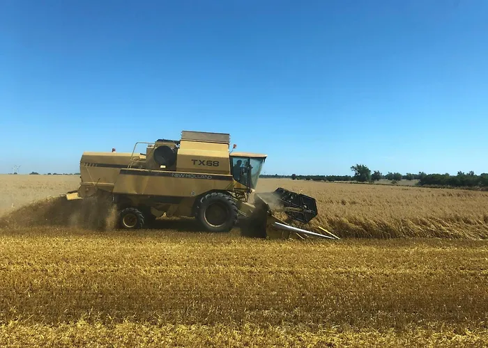 Mohnblume * Hinrichsdorf